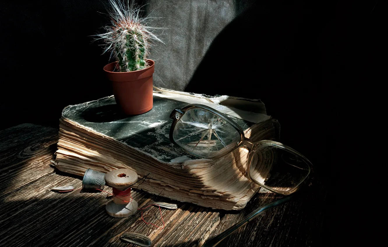Photo wallpaper cactus, glasses, book, still life, thread