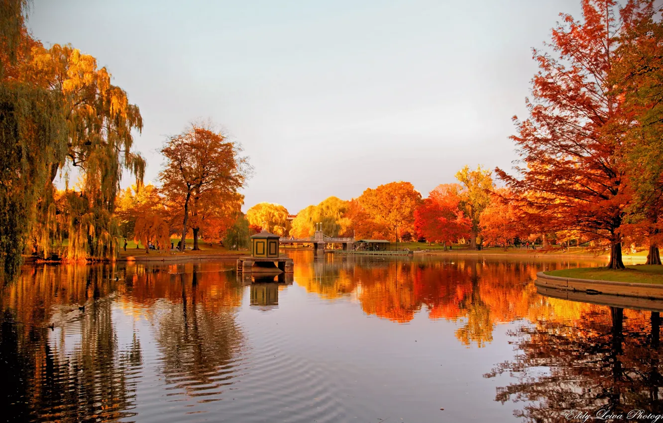 Photo wallpaper autumn, trees, lake, reflection, gazebo