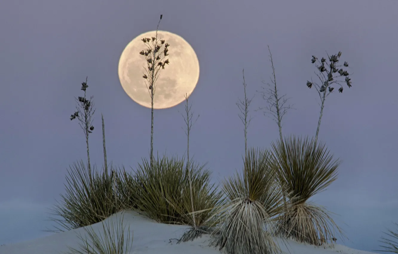 Photo wallpaper desert, The moon, USA, New Mexico, White Sands, White Sands National Monume