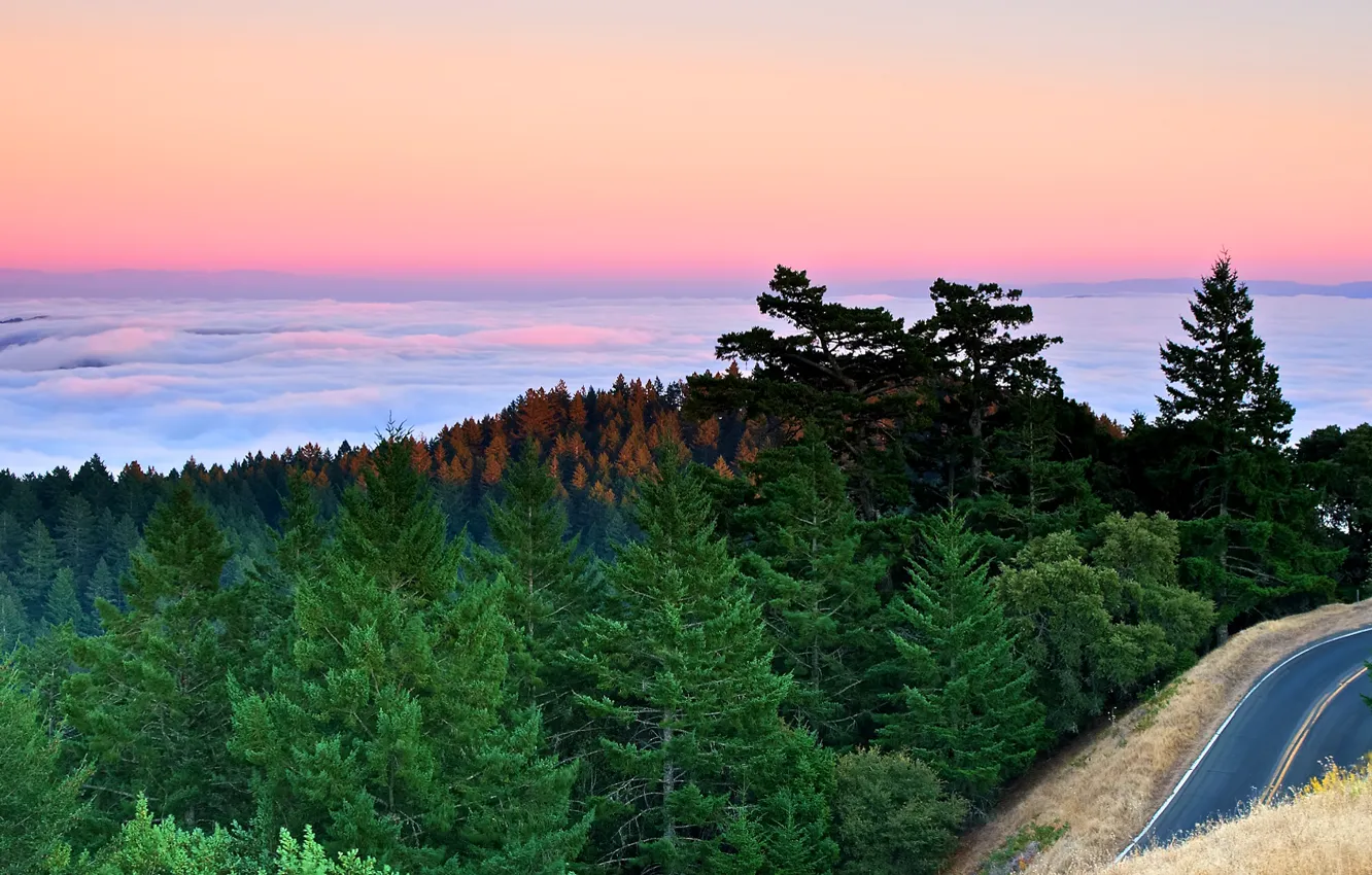 Photo wallpaper road, forest, clouds, sunset, mountains, fog, the ocean, ate