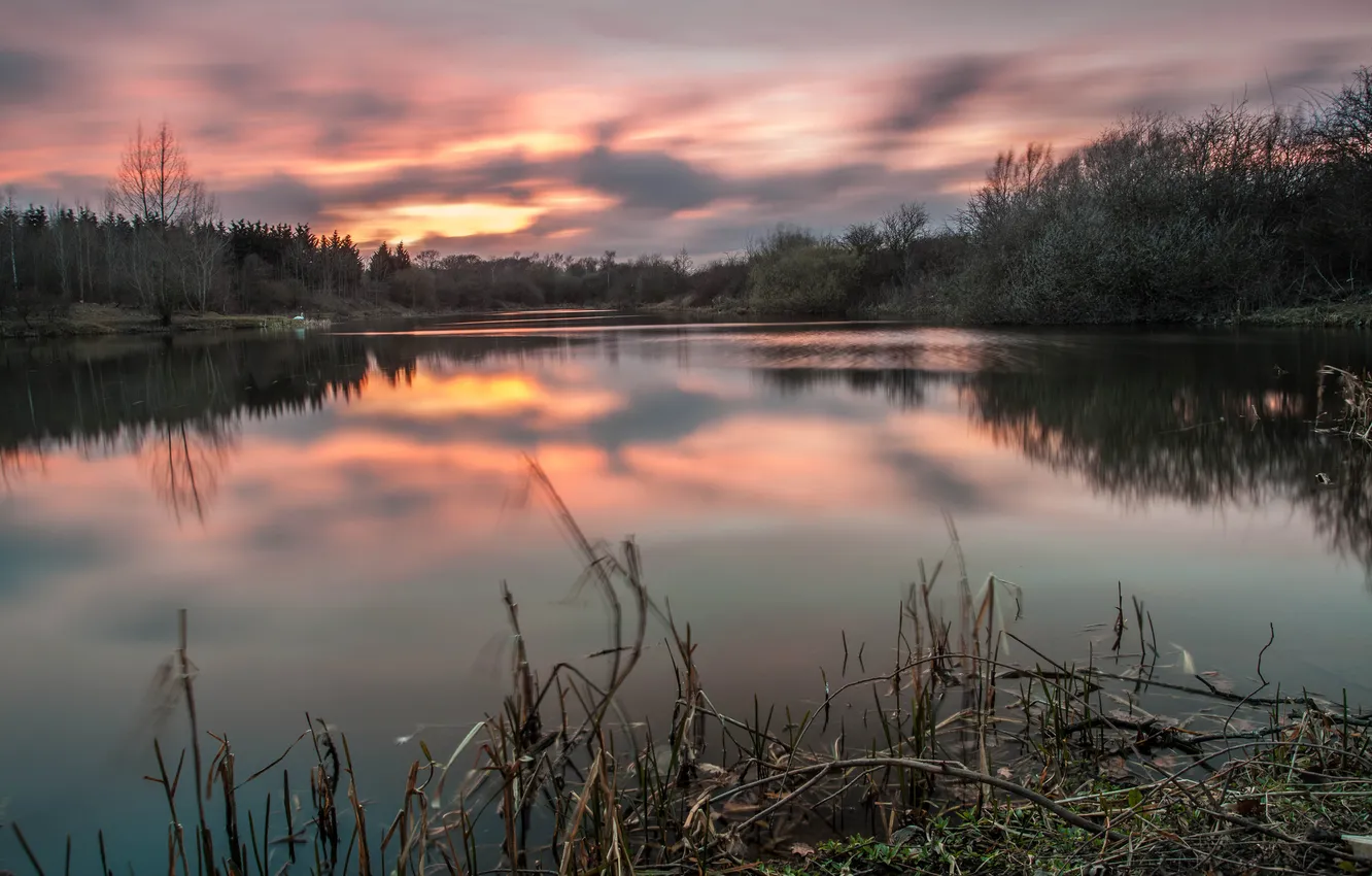 Photo wallpaper forest, clouds, pond, dawn