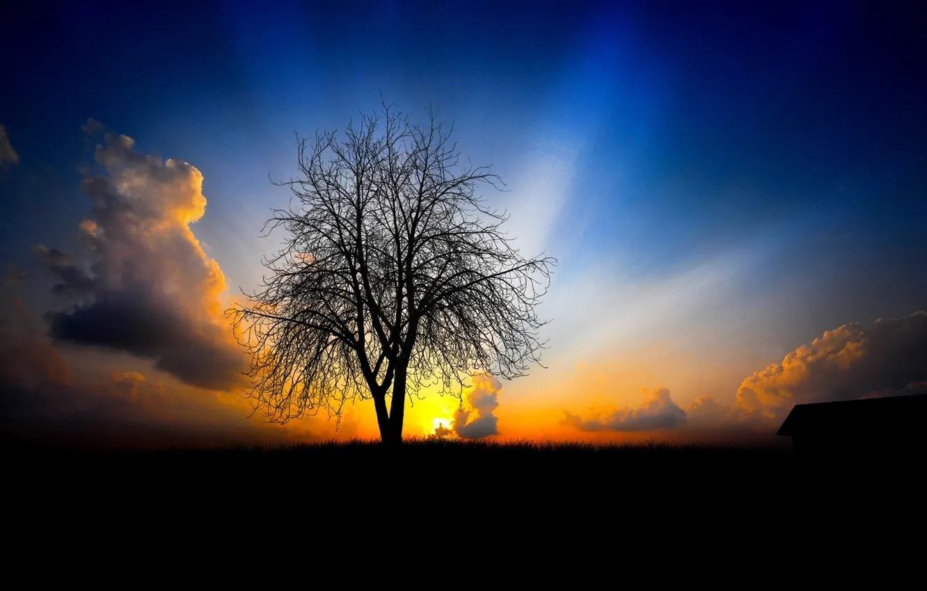 Photo wallpaper landscape, sunset, black background, dello