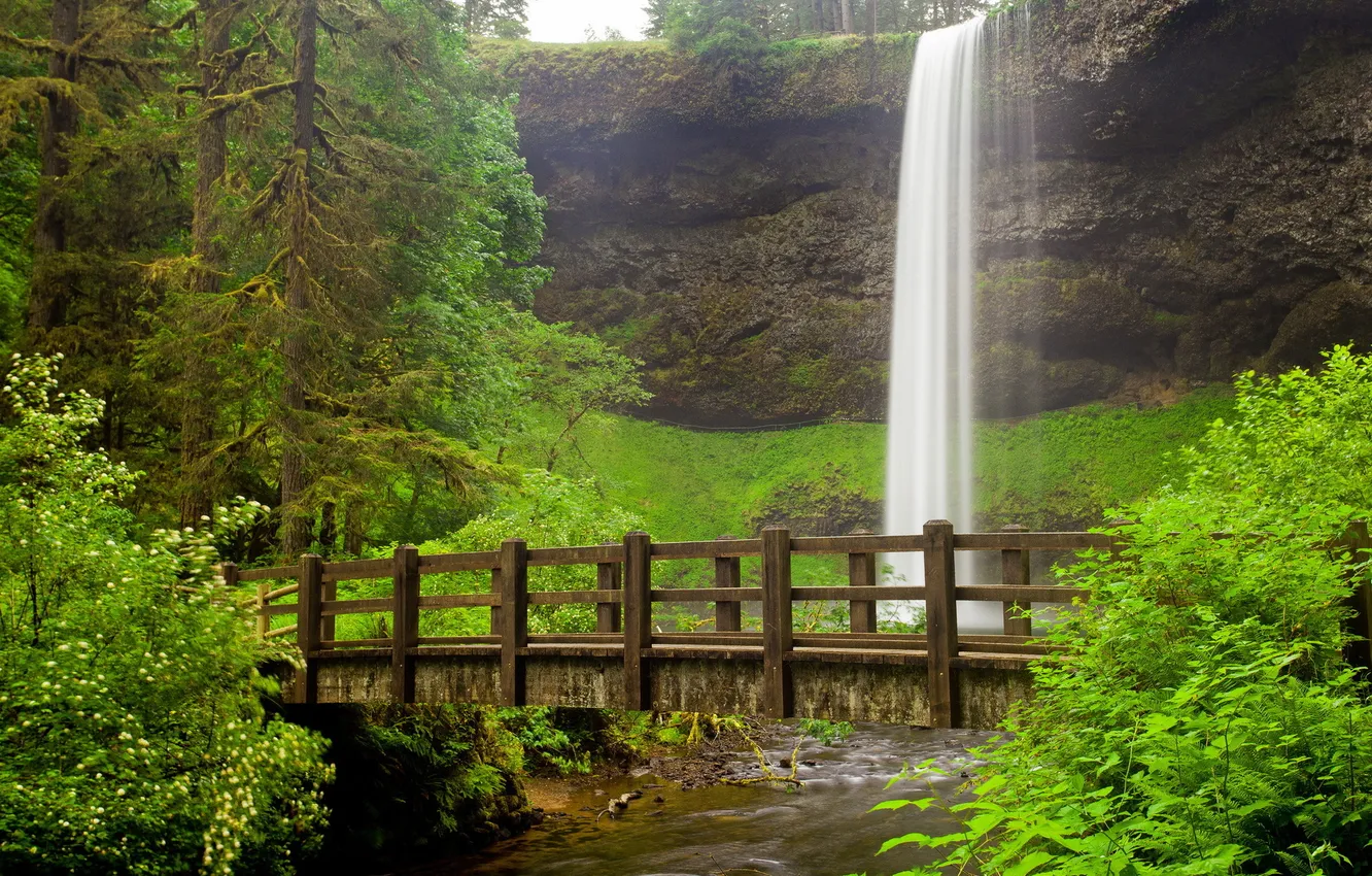 Photo wallpaper landscape, bridge, nature, river, waterfall