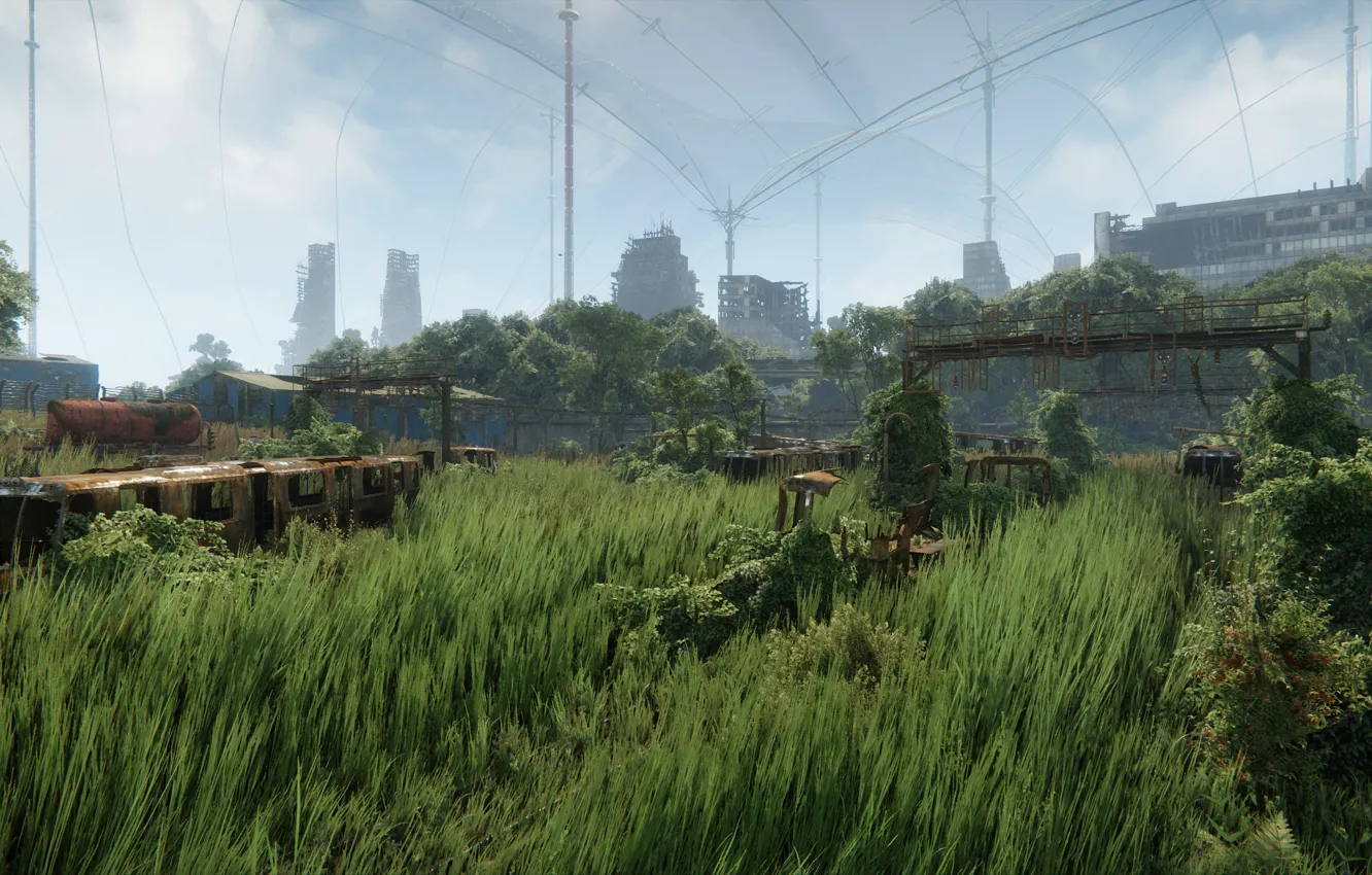 Photo wallpaper grass, graphics, Crysis 3, samopal, New York v2.0