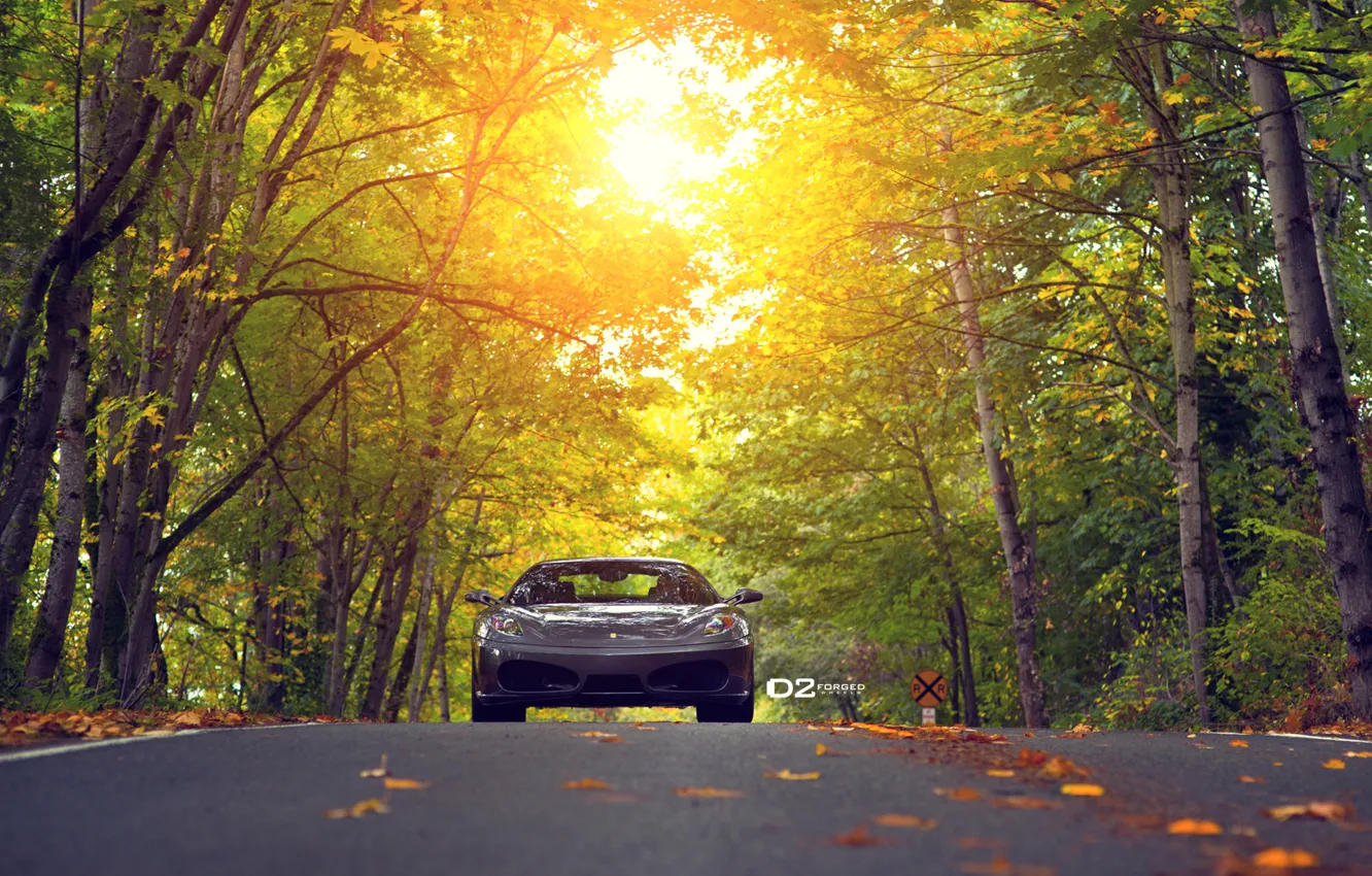 Photo wallpaper colors, Ferrari, Scuderia