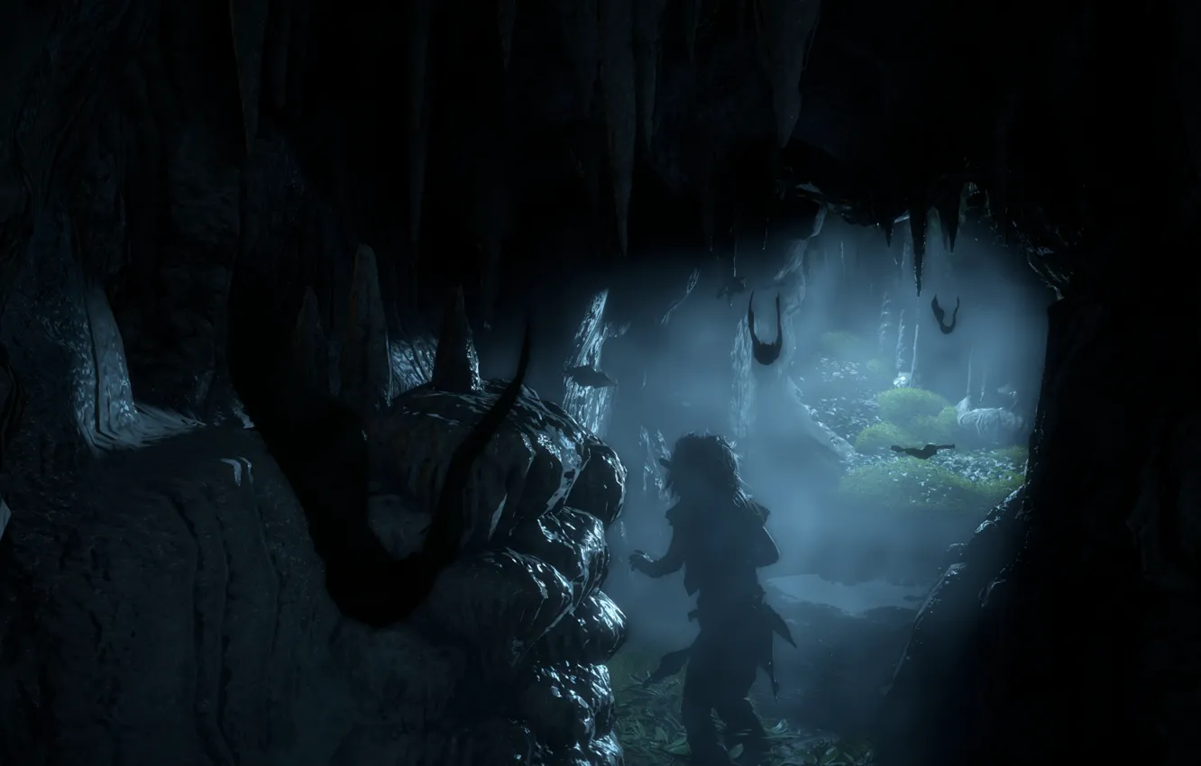 Photo wallpaper the sky, cave, bats, horizon, Sony Computer Entertainment, Guerrilla Games, Horizon: Zero Dawn, Horizon Zero …