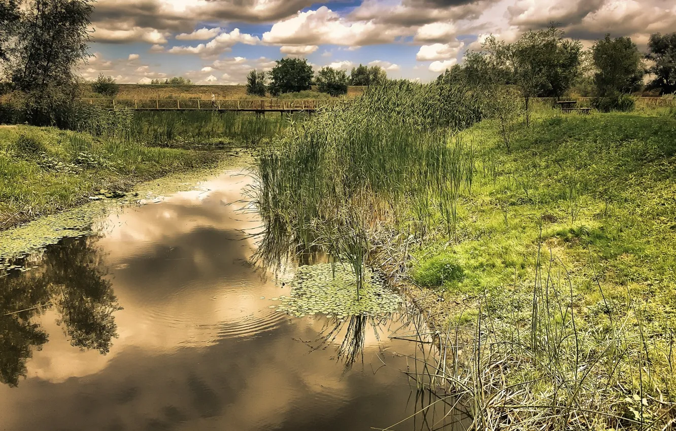 Photo wallpaper grass, clouds, lake