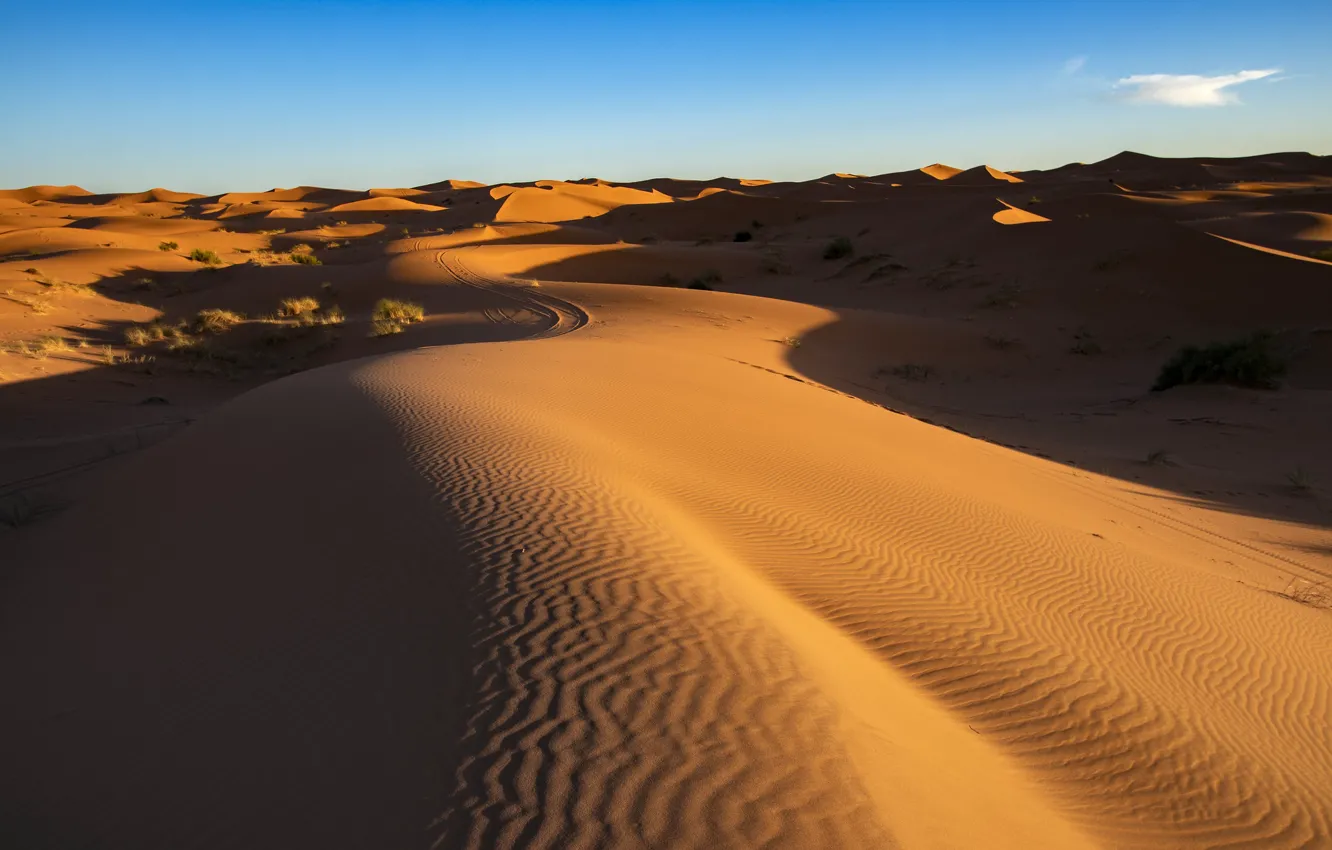 Photo wallpaper sand, desert, dunes