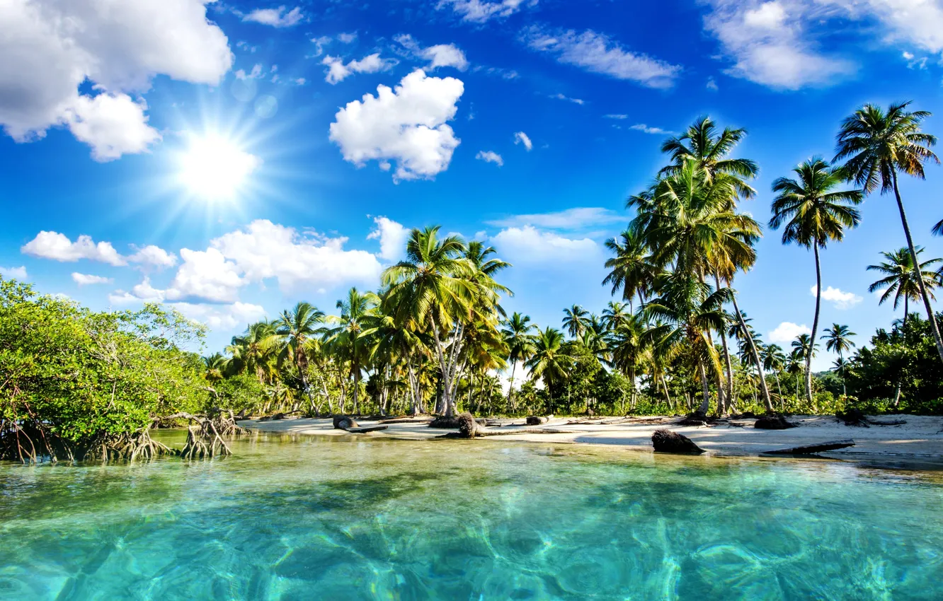 Photo wallpaper sea, beach, the sky, the sun, clouds, nature, tropics, palm trees
