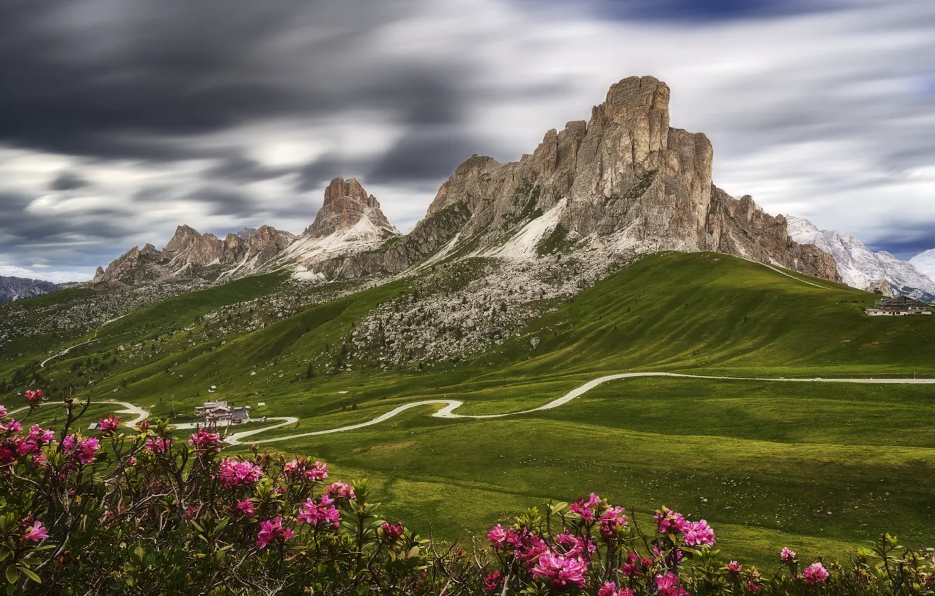 Photo wallpaper summer, flowers, mountains, Alps, The Dolomites