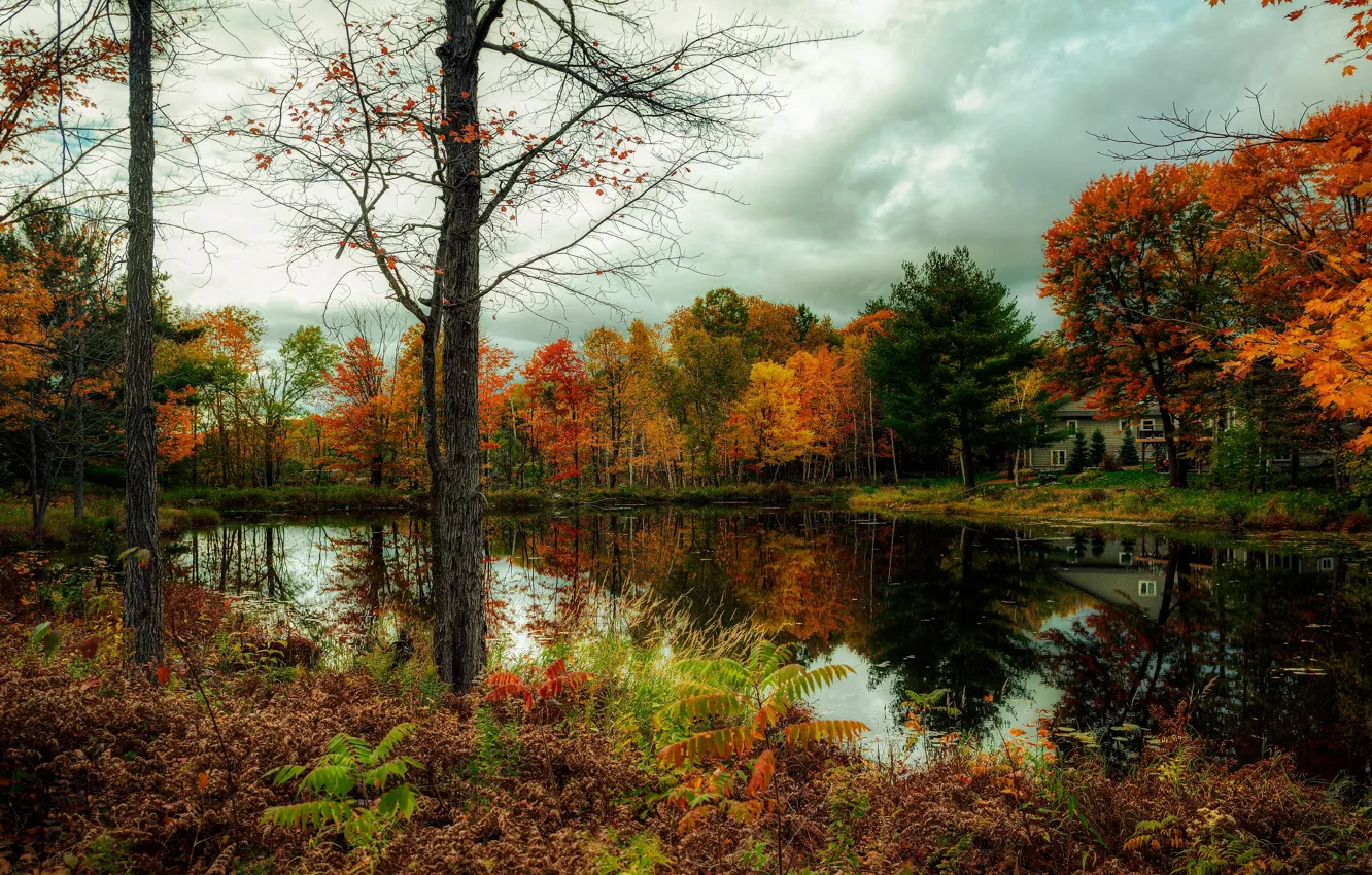 Photo wallpaper autumn, shore, pond
