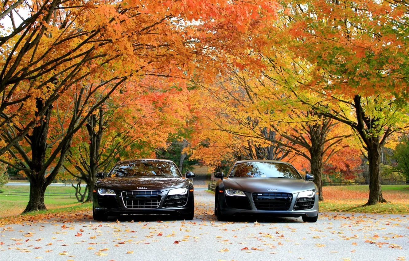 Photo wallpaper auto, autumn, trees, machine, Audi R8 V10