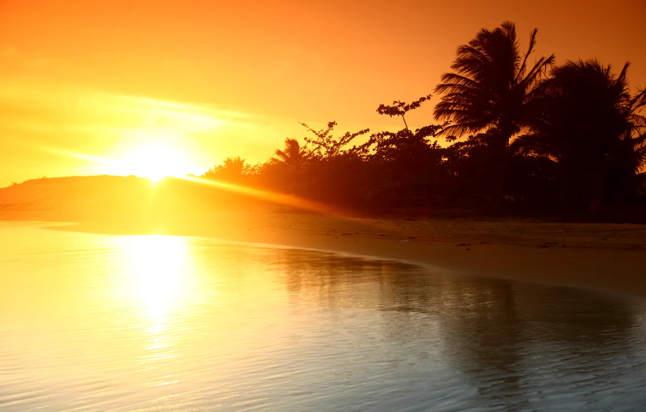 Photo wallpaper sea, beach, summer, sunset, palm trees