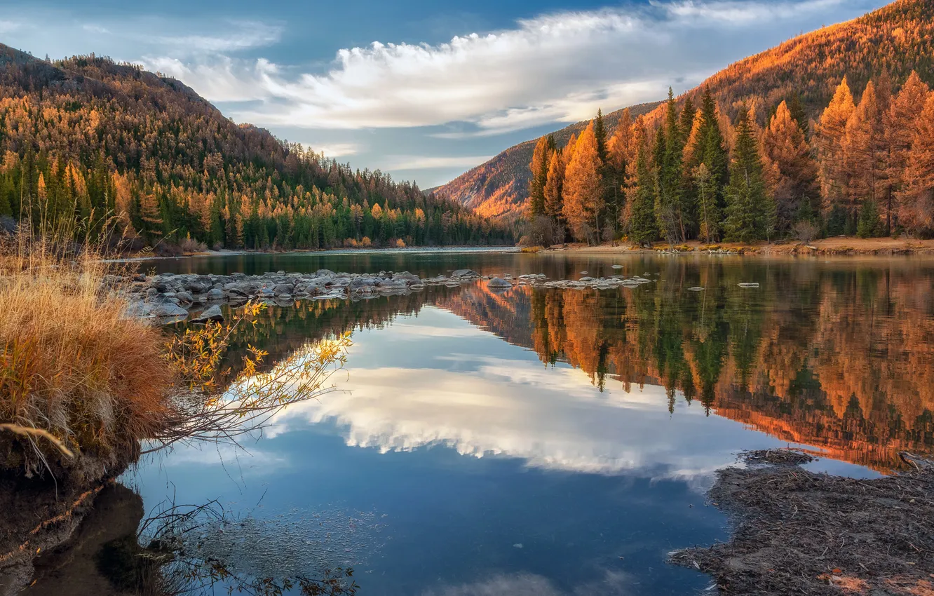Photo wallpaper morning, September, The Altai Mountains, Laura Pavlova, Argut River