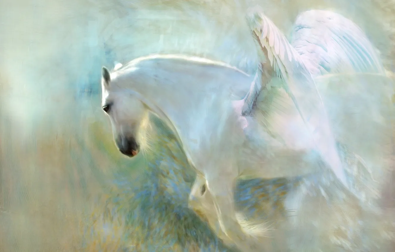Photo wallpaper white, face, light, flight, background, horse, horse, wings