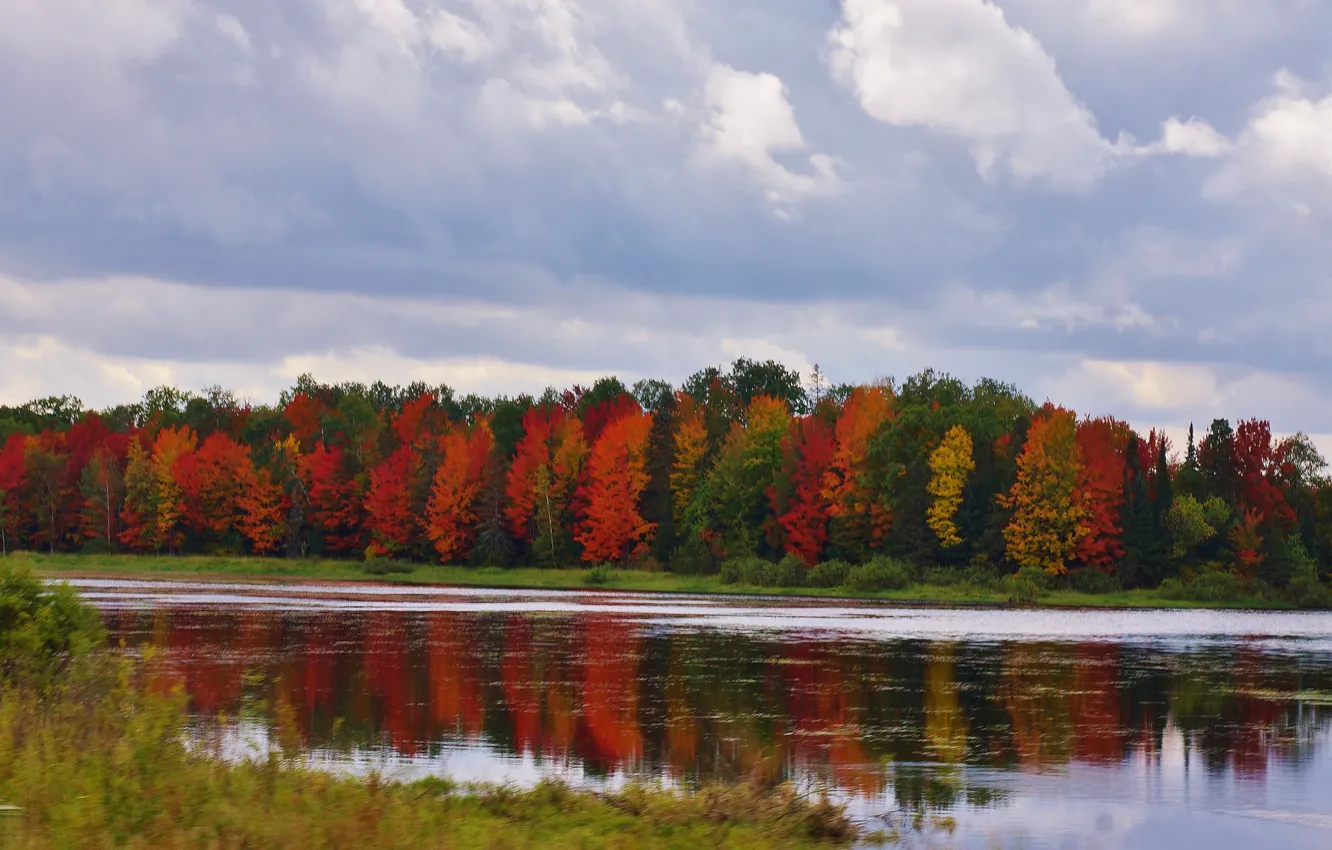 Photo wallpaper autumn, the sky, clouds, trees, river, the evening
