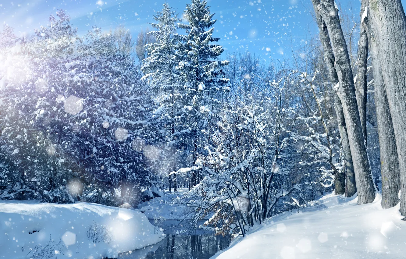 Photo wallpaper winter, the sky, snow, trees, landscape, nature, lake