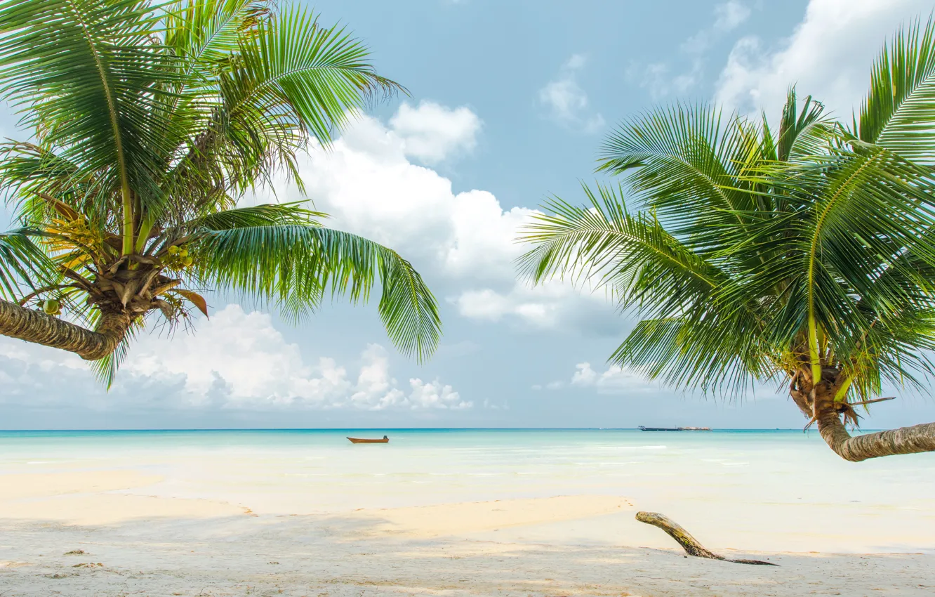 Photo wallpaper sea, beach, nature, tropics, palm trees, blue water