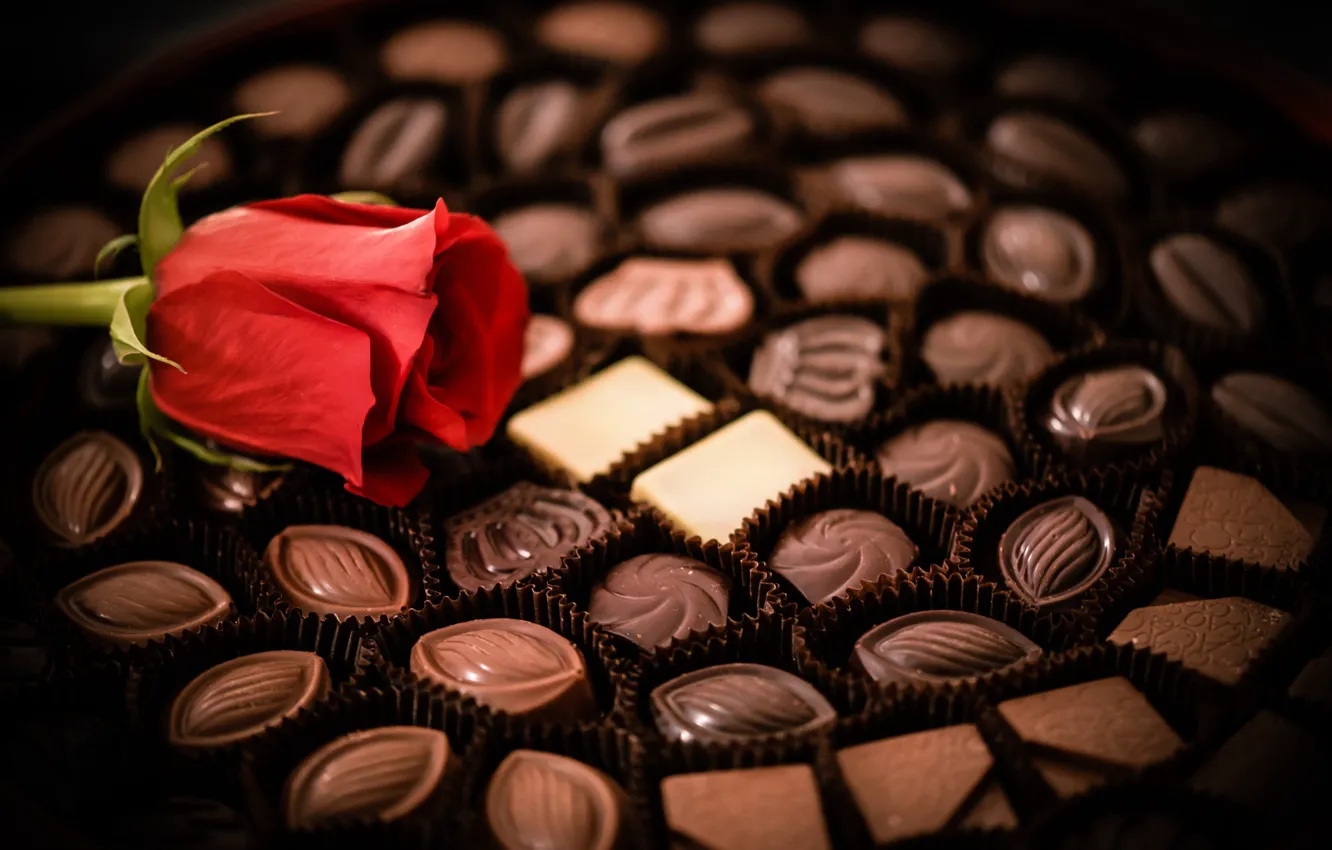 Photo wallpaper flowers, chocolate, roses, candy, set, cuts