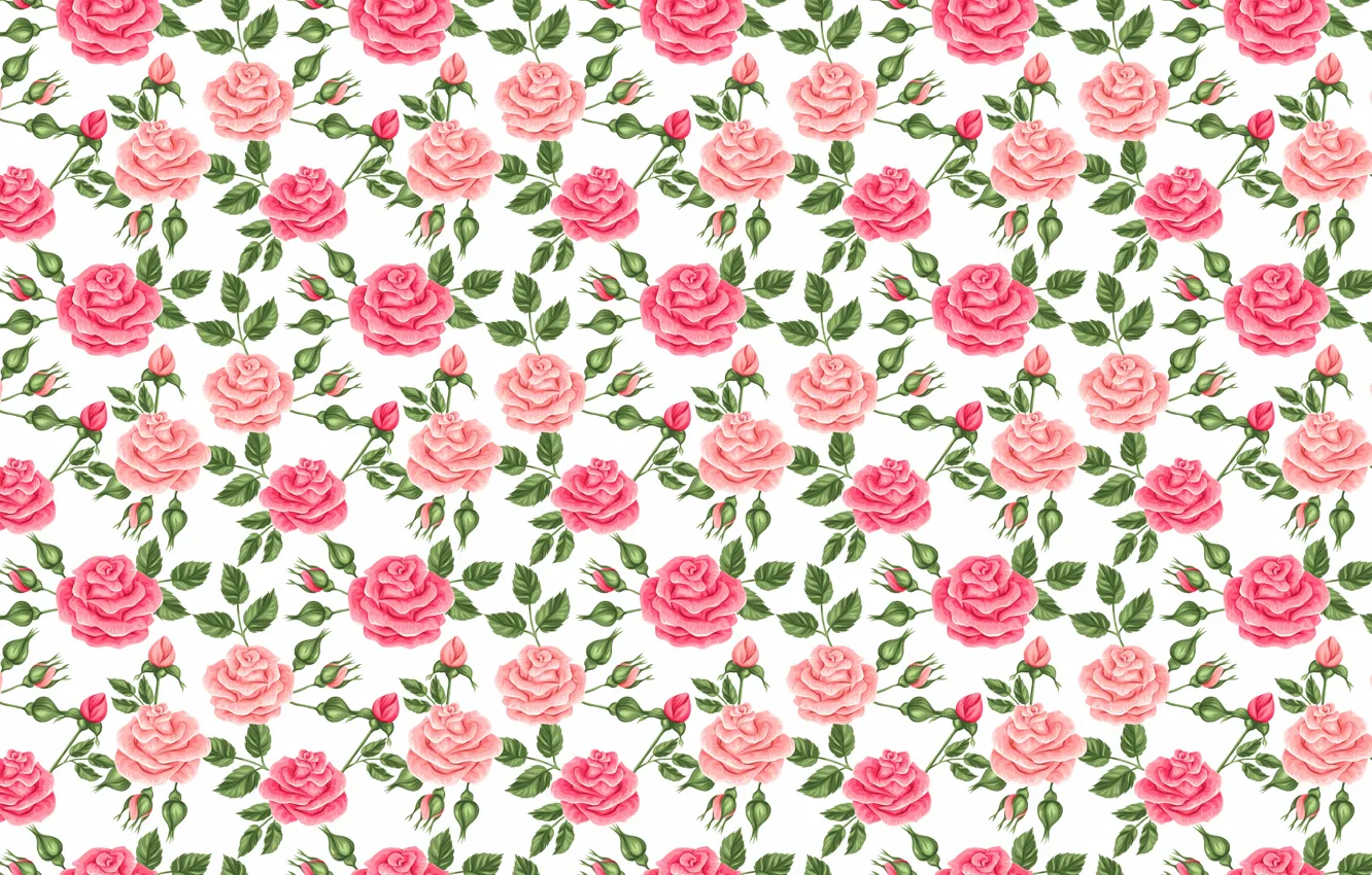 Photo wallpaper flowers, roses, pink, buds