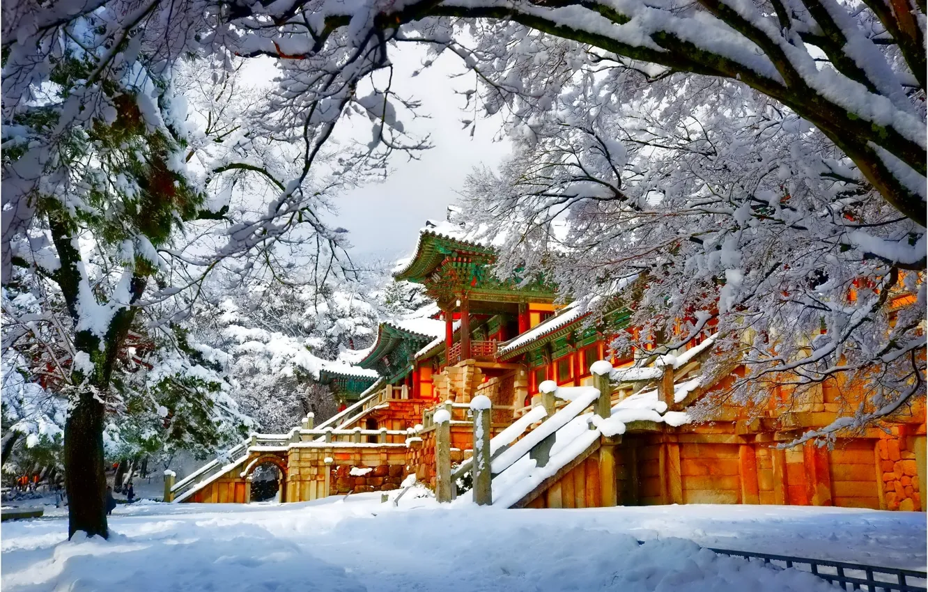 Photo wallpaper winter, snow, trees, Asia, pagoda