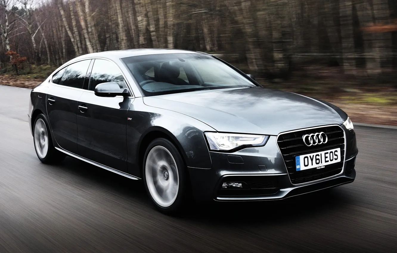 Photo wallpaper road, forest, grey, Audi, Audi, TDI, quattro, the front