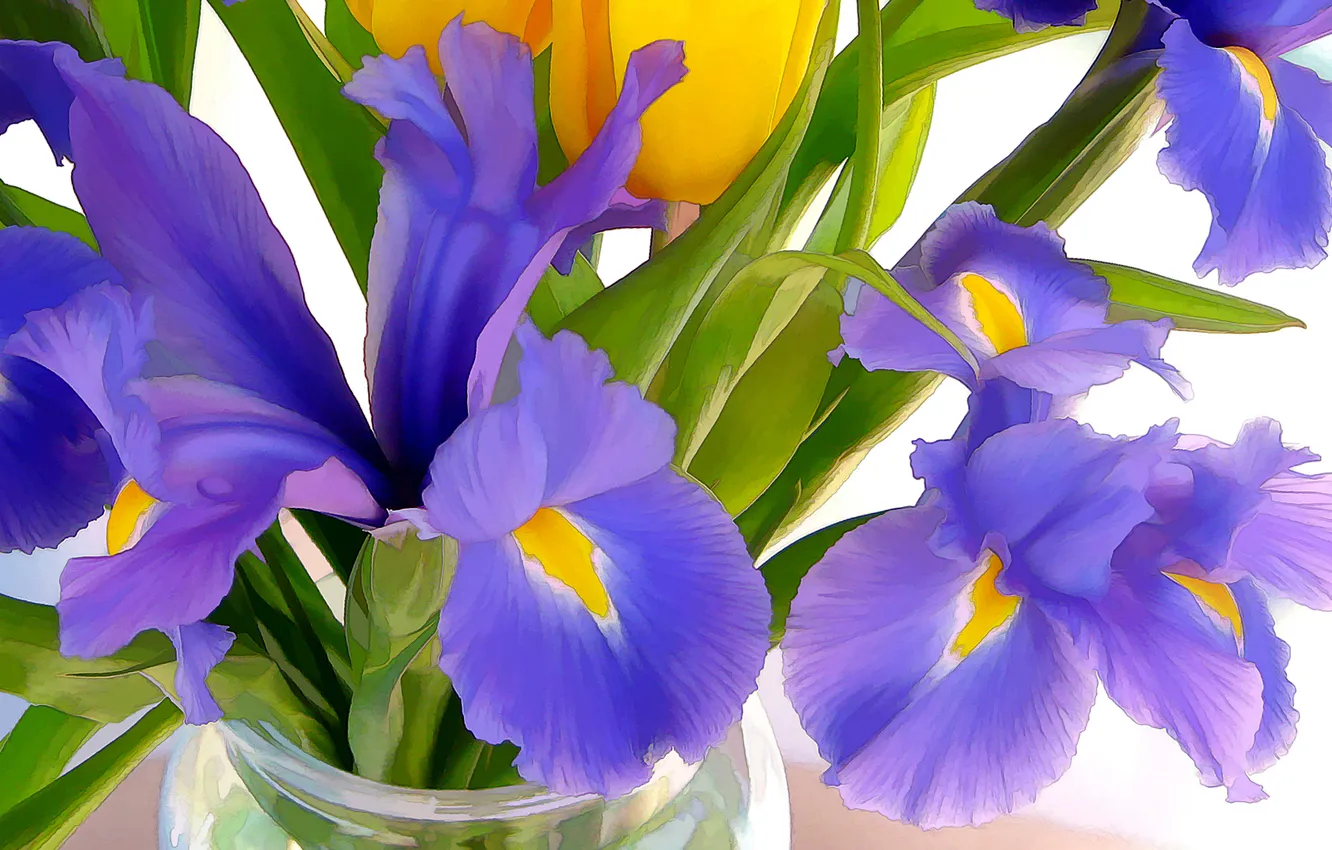 Photo wallpaper leaves, bouquet, petals, iris