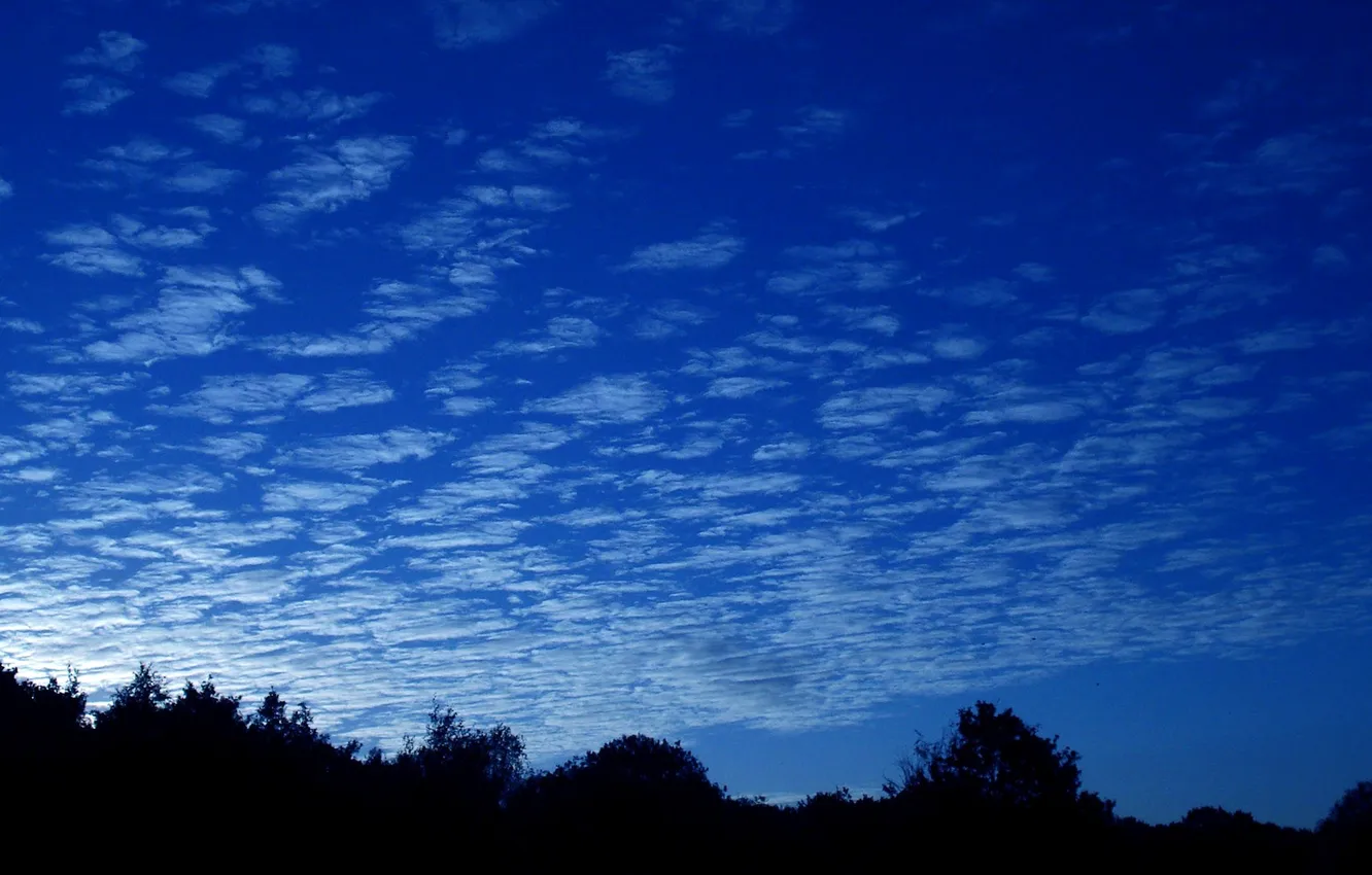 Photo wallpaper forest, the sky, clouds, sunset, horizon