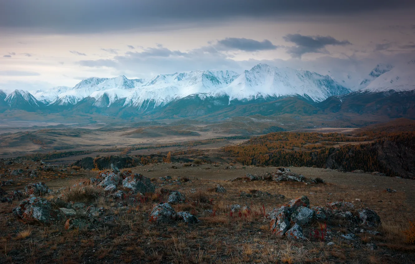 Photo wallpaper snow, mountains, stones, horizon, Rustem Dikov, Severochuysky ridge