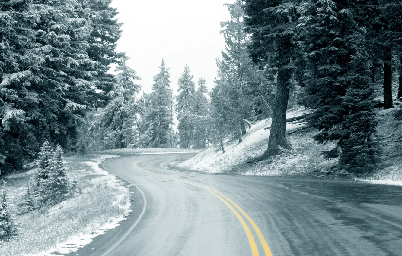Photo wallpaper winter, road, forest, snow