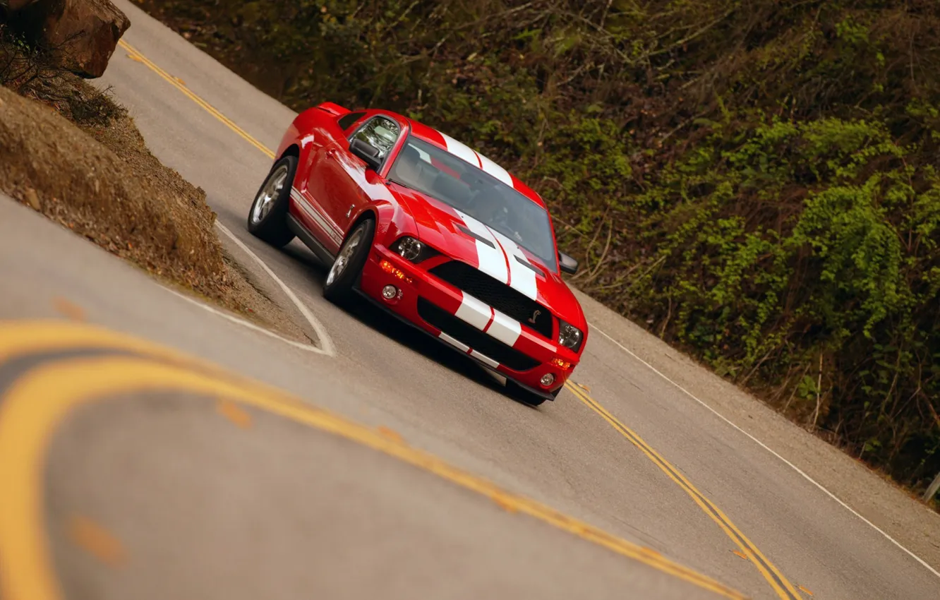 Photo wallpaper Ford, Shelby, Gt500