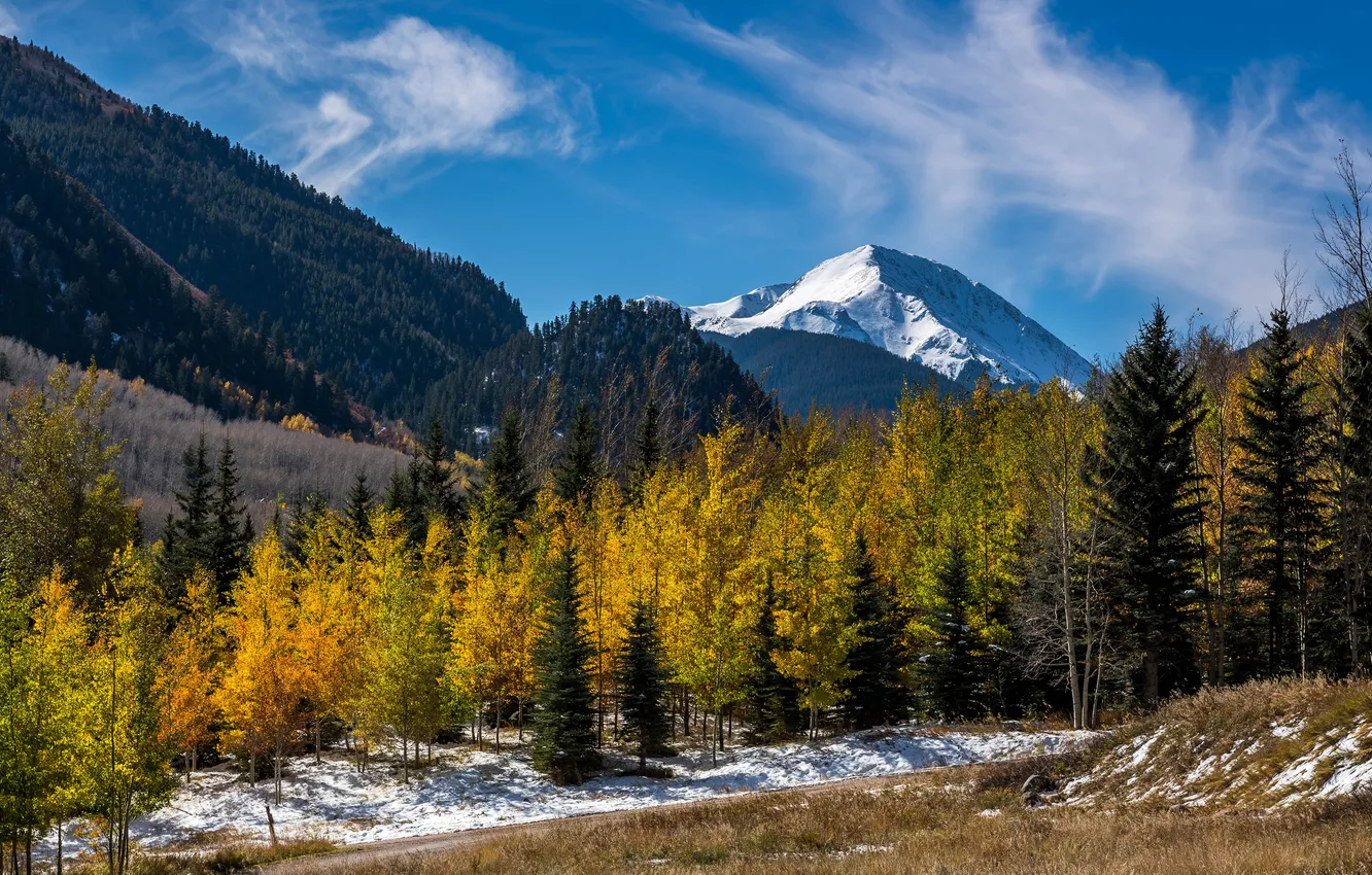 Photo wallpaper autumn, forest, snow, mountains