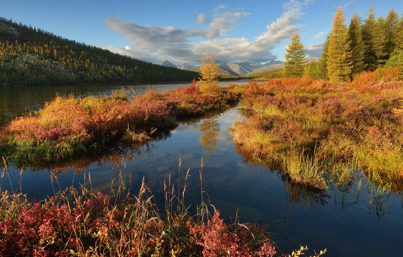 Photo wallpaper autumn, landscape, mountains, nature, lake, morning, forest, Kolyma