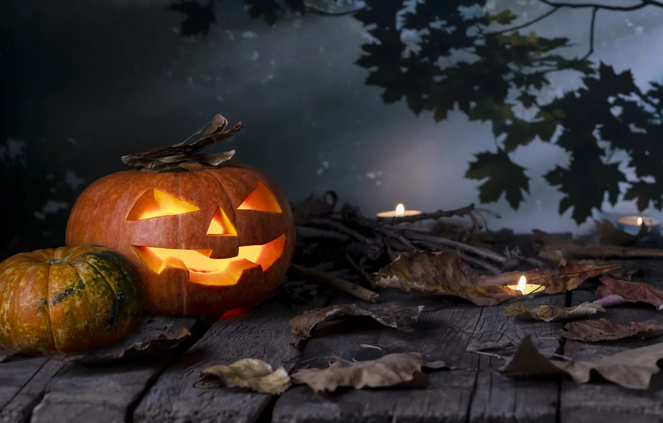 Photo wallpaper autumn, leaves, pumpkin, Halloween, halloween, autumn, leaves, pumpkin