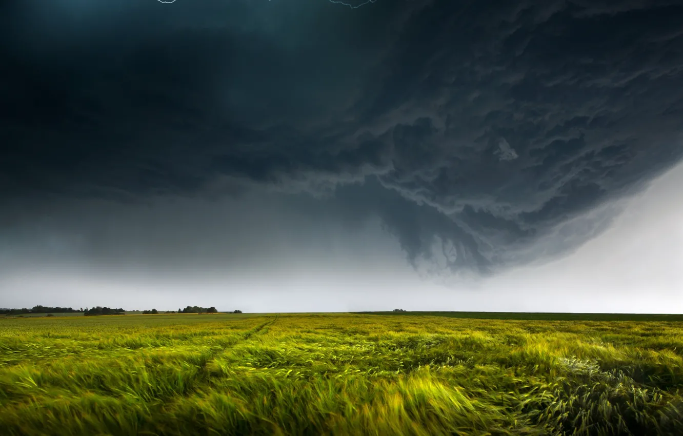 Photo wallpaper field, the sky, clouds, nature, the wind, lightning