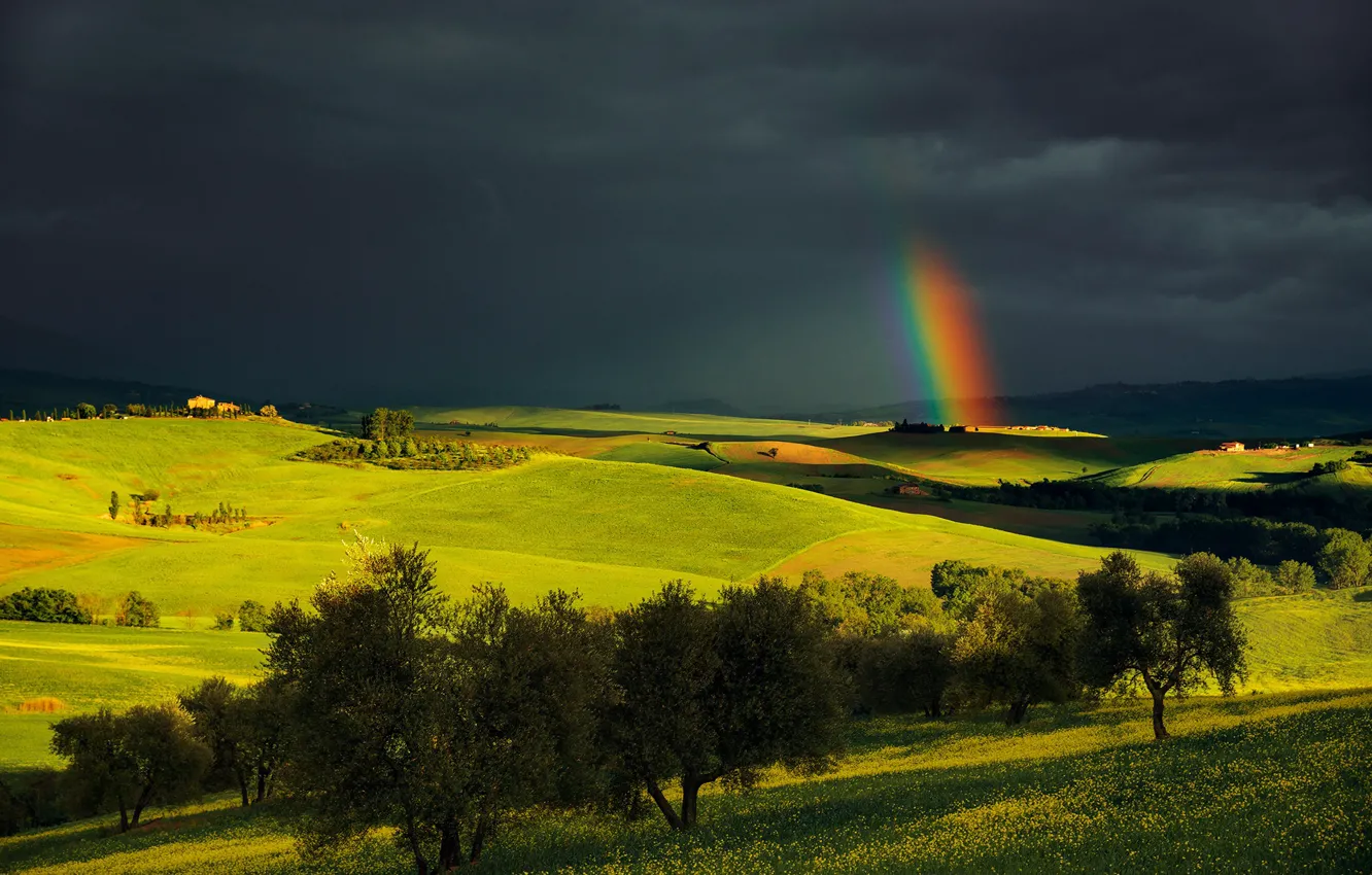 Photo wallpaper the sky, light, trees, clouds, view, field, rainbow, space