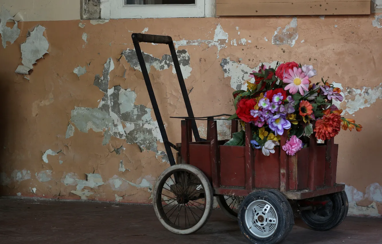 Photo wallpaper flowers, wall, stroller