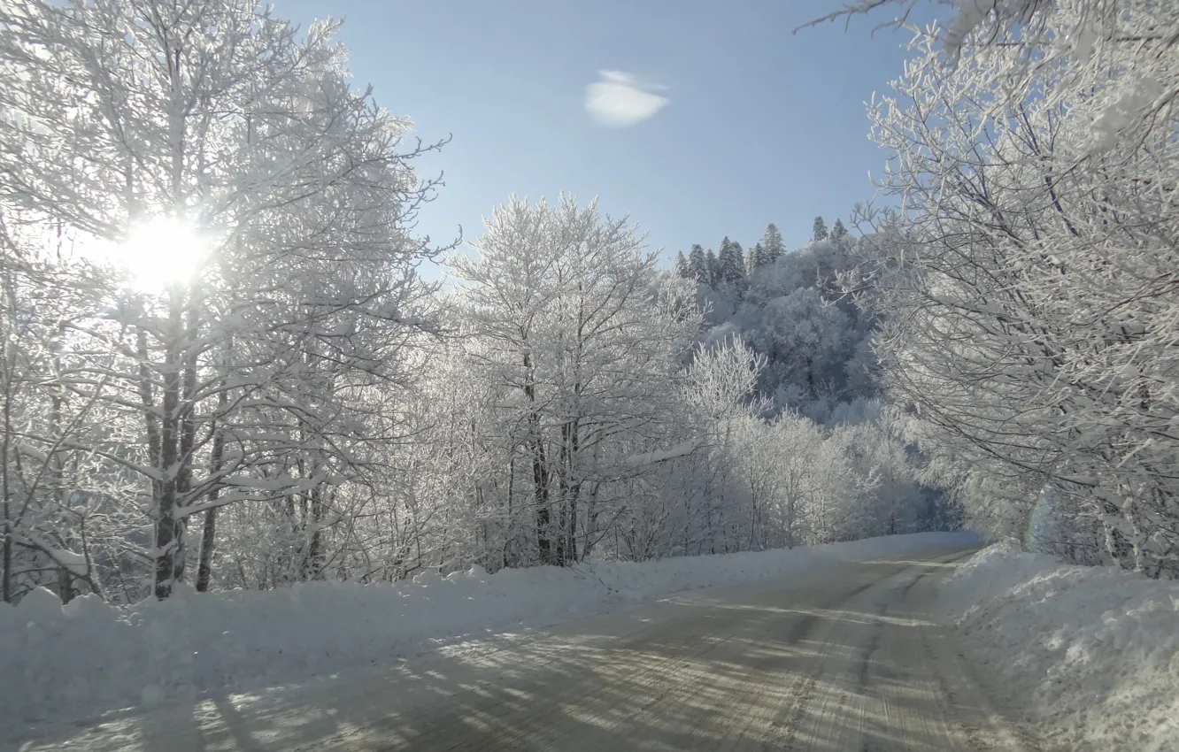 Photo wallpaper winter, road, the sun, snow, trees, Kuban, Akela White, Lago-Naki
