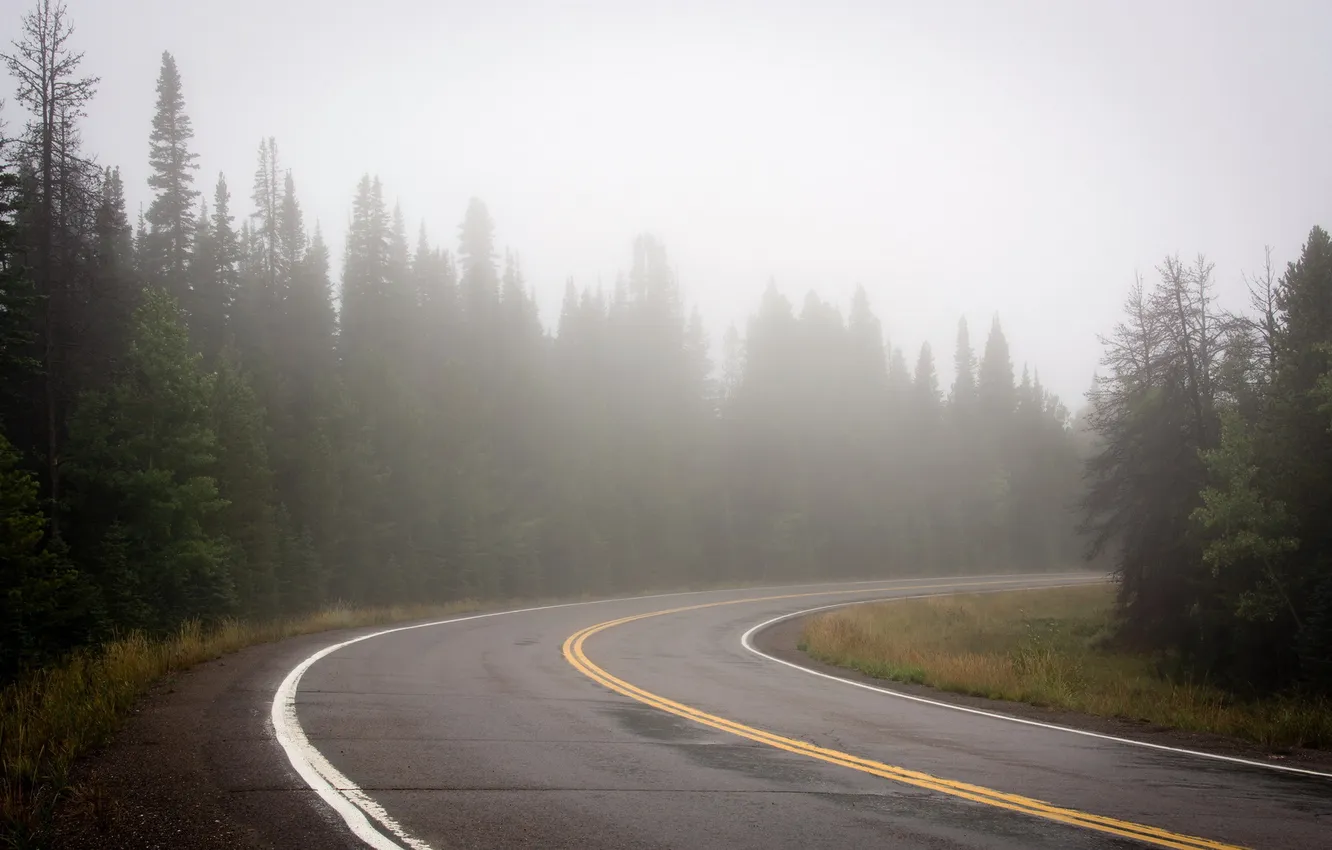 Photo wallpaper road, landscape, fog