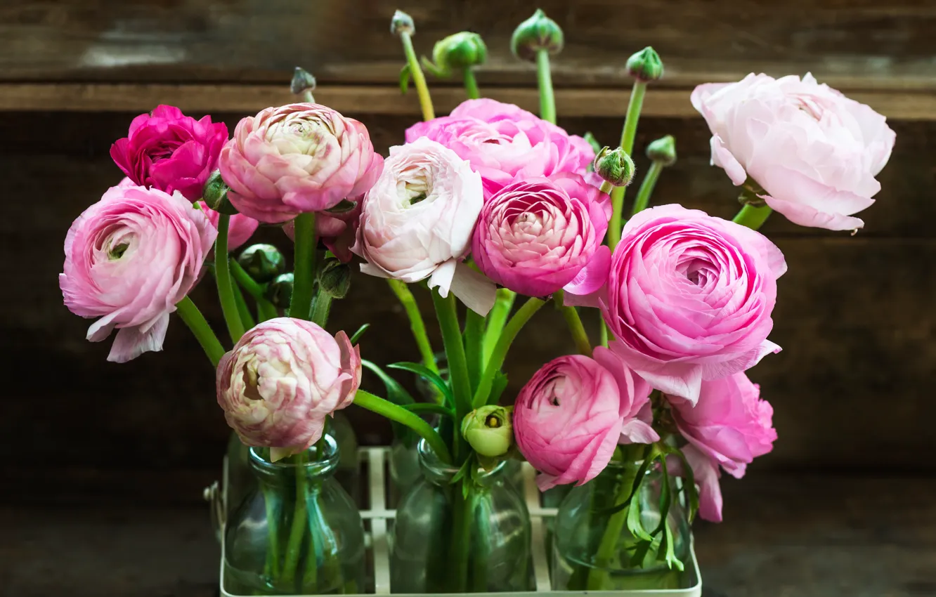 Photo wallpaper flowers, bouquet, Ranunculus asiaticus