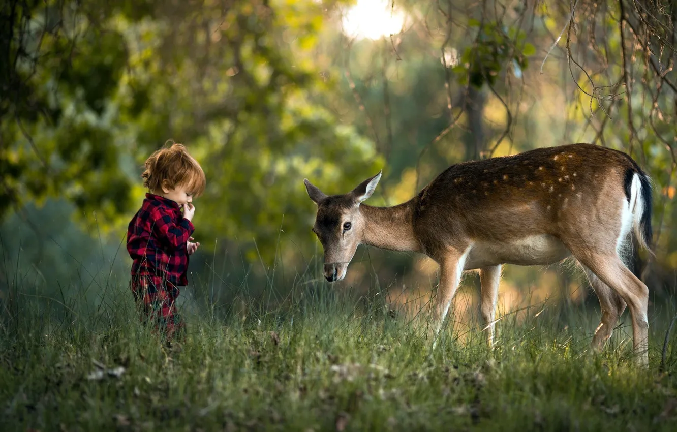 Photo wallpaper forest, grass, nature, children, boy, deer