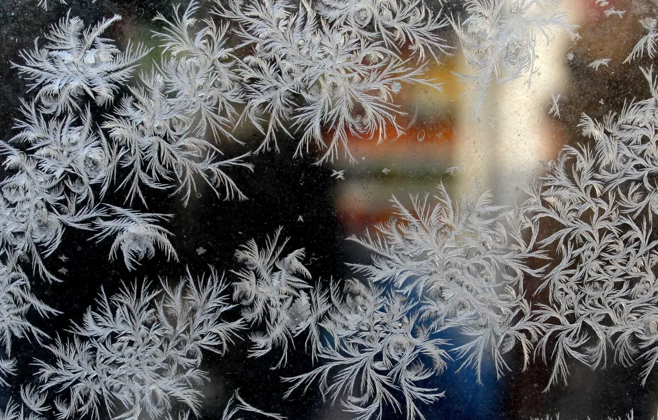 Photo wallpaper winter, frost, macro, frost, frost, Patterns on the window
