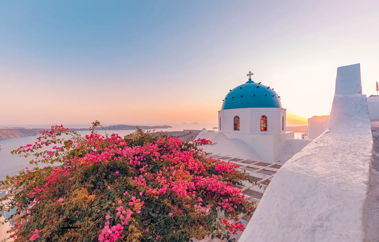 Photo wallpaper sea, Santorini, Greece, Church, the dome, the bushes, Santorini, Oia