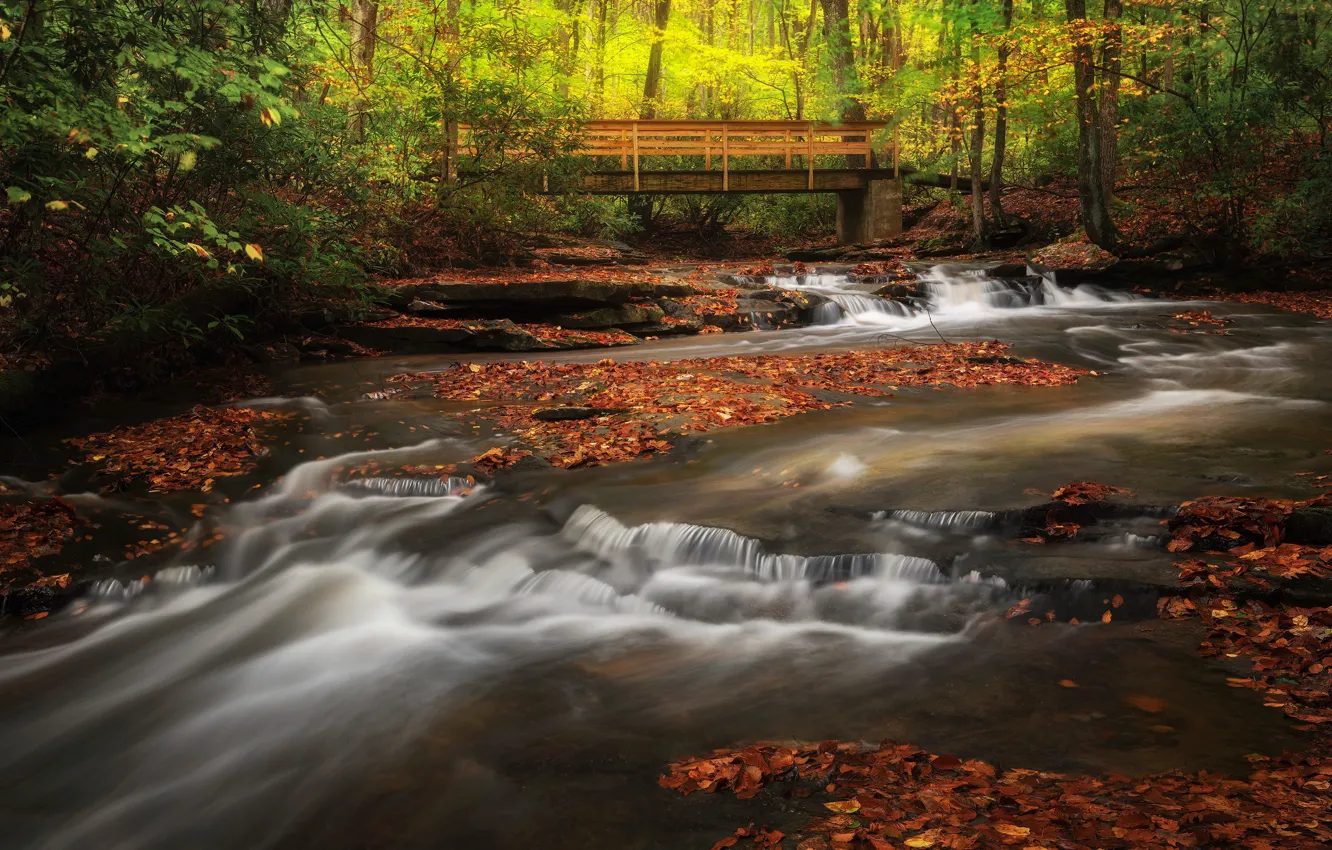 Photo wallpaper autumn, forest, trees, stones, shore, for, waterfall, river