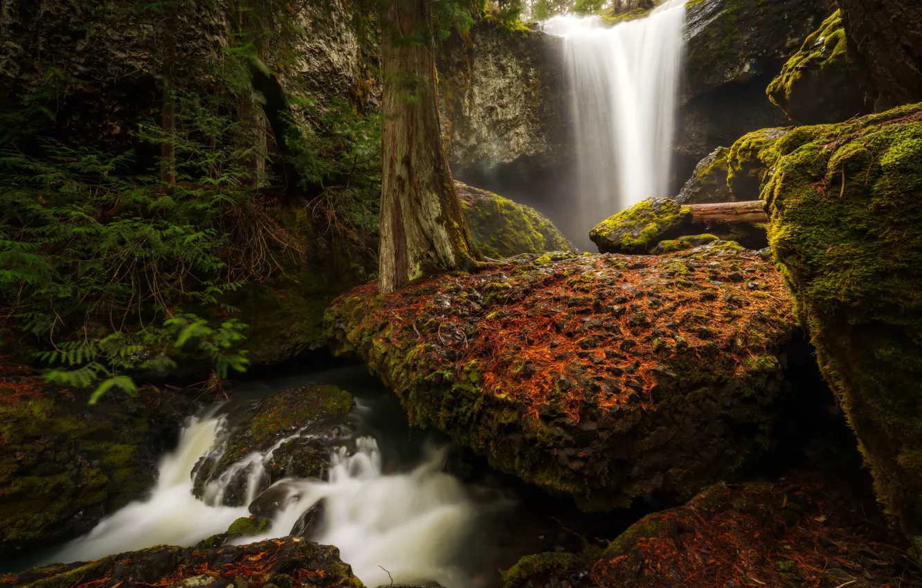 Photo wallpaper trees, nature, river, waterfall