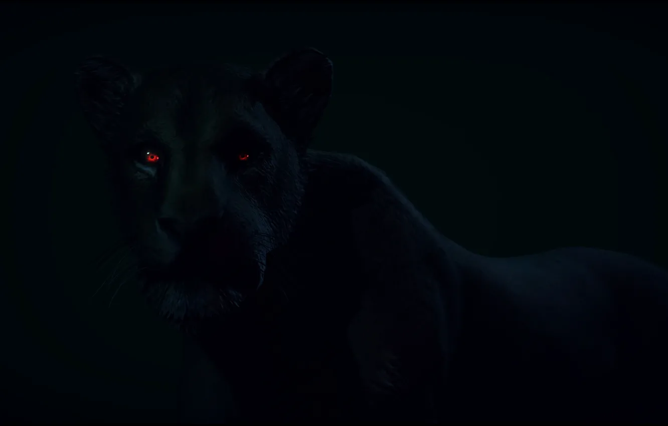 Photo wallpaper look, animal, predator, Panther, black, red eyes