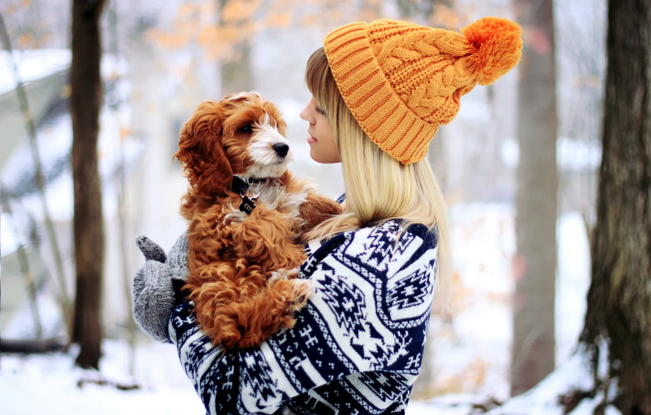 Photo wallpaper winter, girl, animal, hat, dog