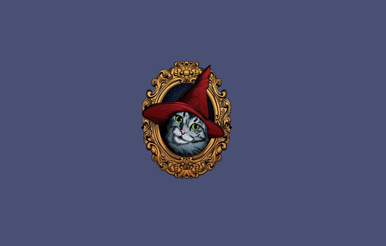Photo wallpaper cat, cat, hat, portrait, minimalism, picture, cat, cap red