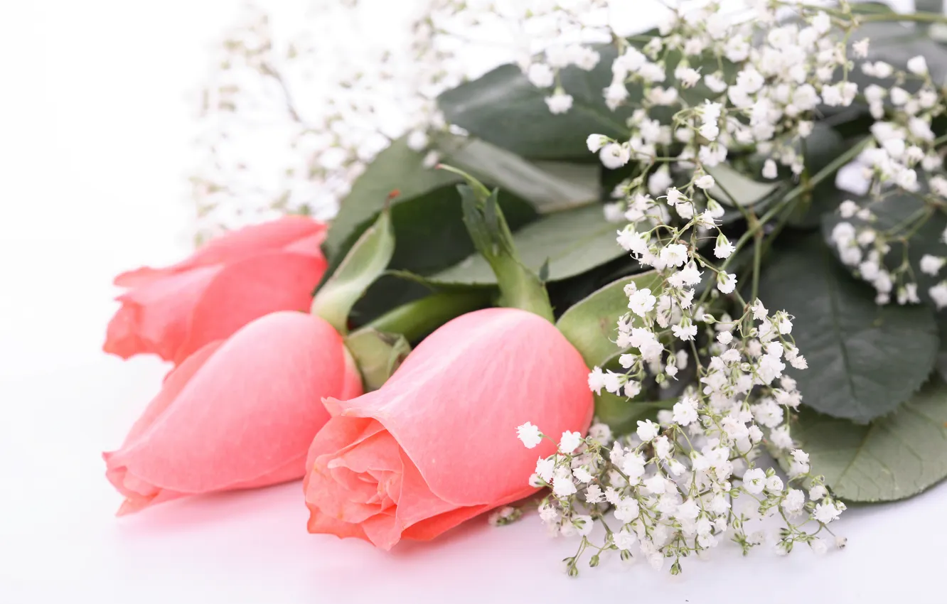 Photo wallpaper leaves, flowers, roses