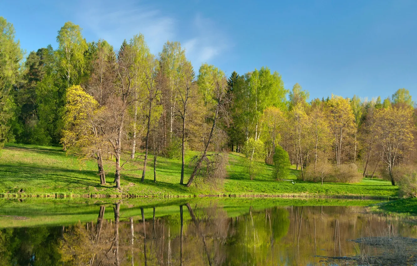 Photo wallpaper trees, lake, pond, Park